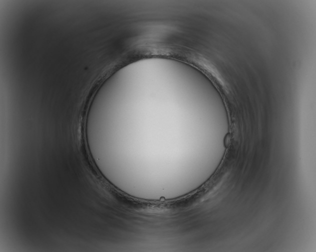 X0000089850537200706281022