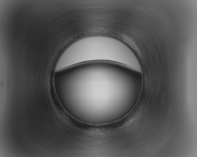 X0000089850538200706281022
