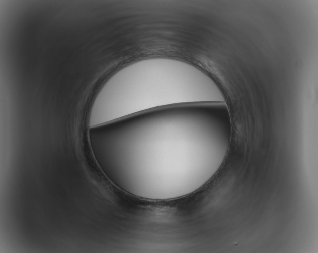X0000089850539200706281022