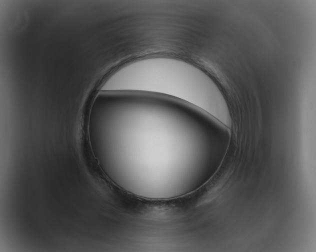 X0000089850540200706281022