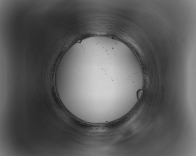 X0000089850541200706281023