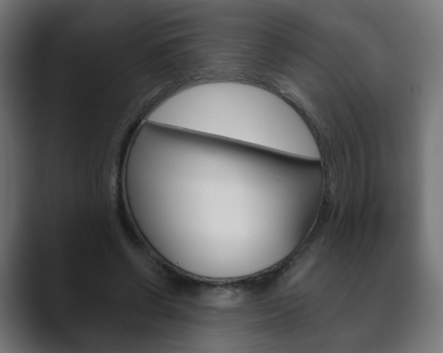 X0000089850542200706281023