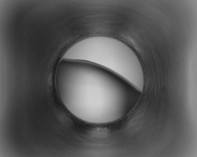 X0000089850543200706281023