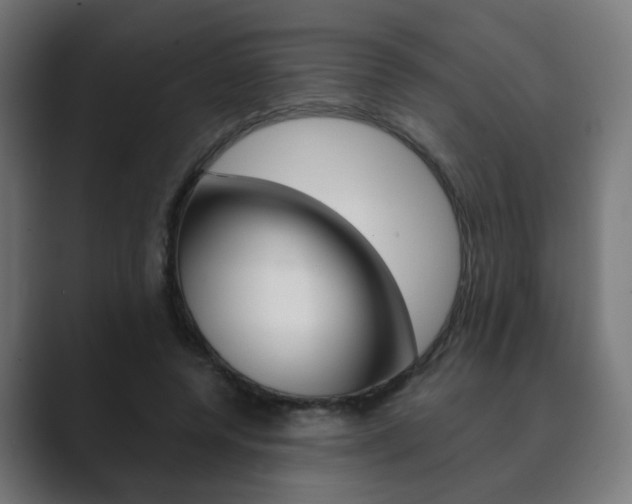 X0000089850544200706281023
