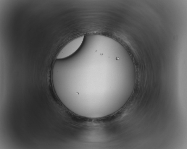X0000089850545200706281023