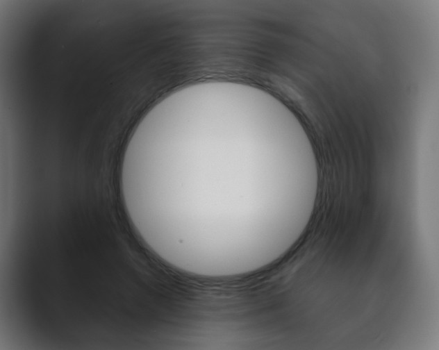 X0000089850546200706281023