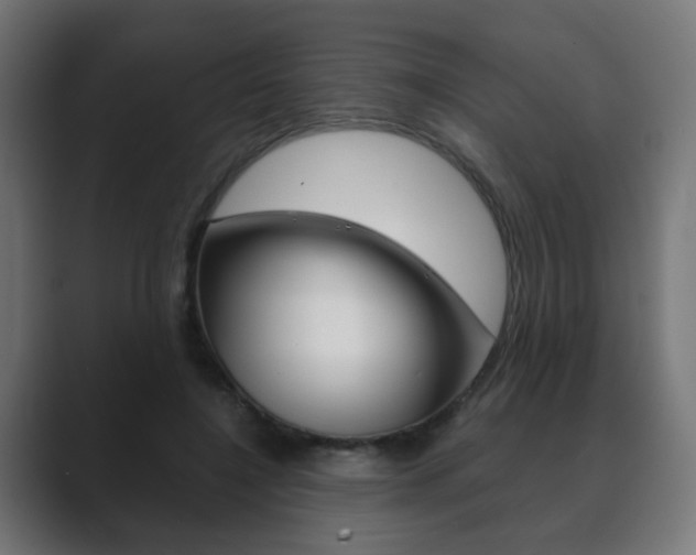 X0000089850548200706281023