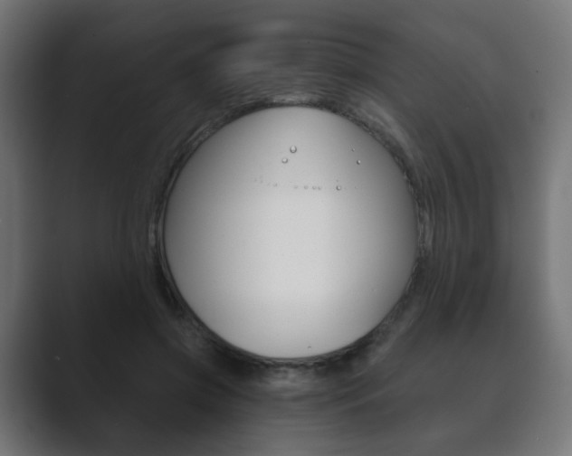 X0000089850549200706281023
