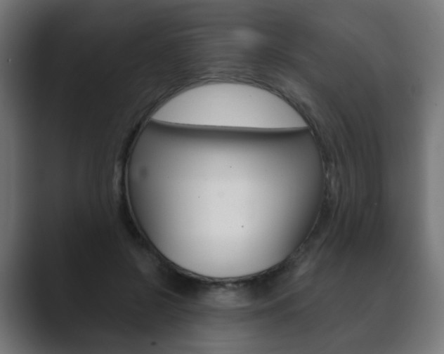 X0000089850550200706281023