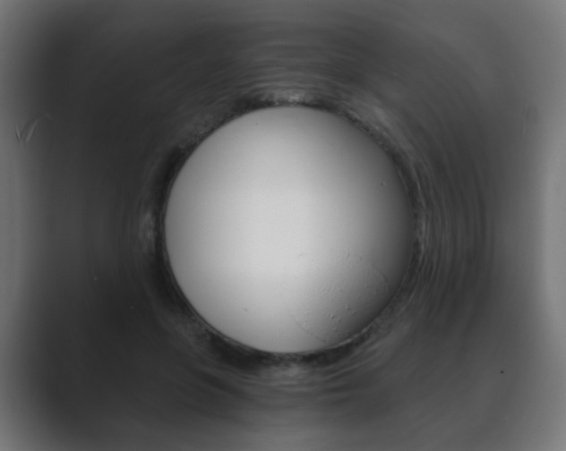X0000089850551200706281023