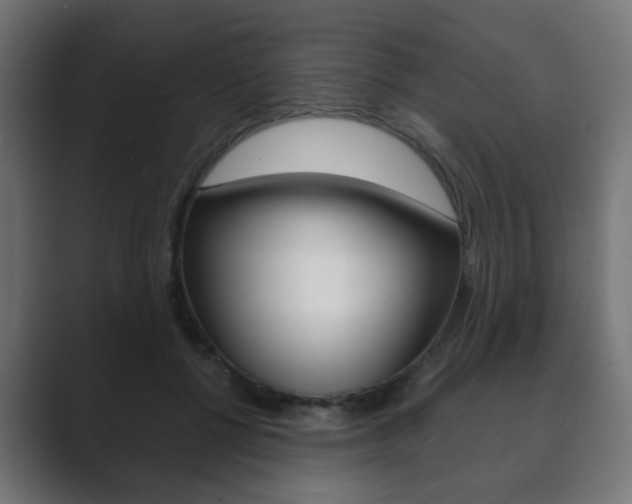 X0000089850552200706281023