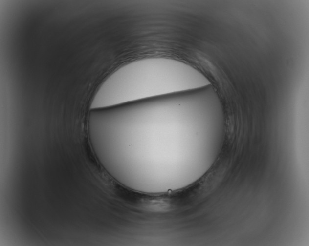 X0000089850553200706281023
