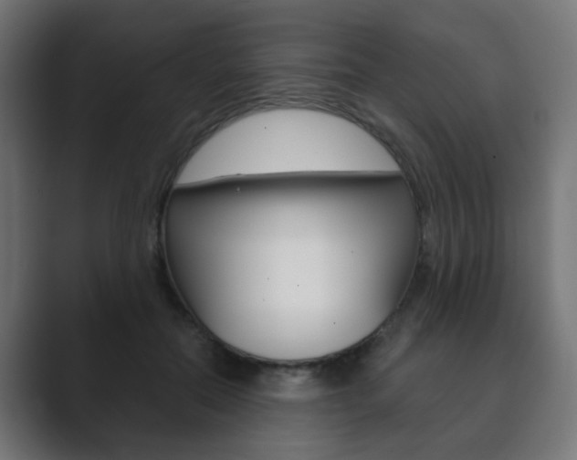 X0000089850554200706281023
