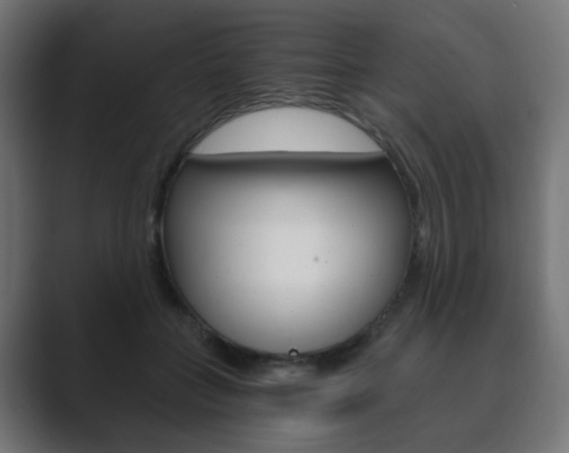 X0000089850555200706281023