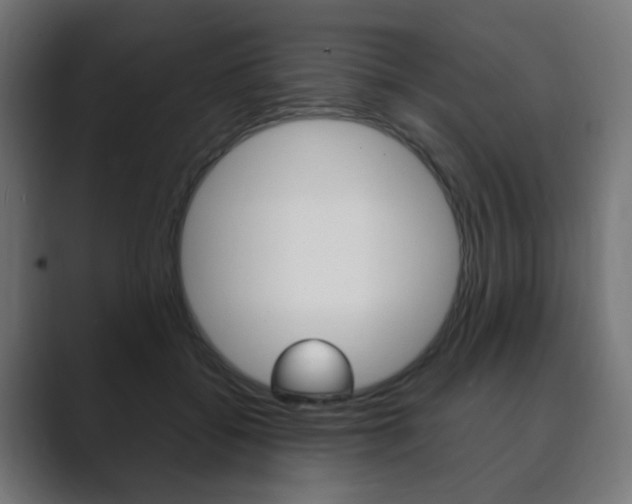 X0000089850556200706281023