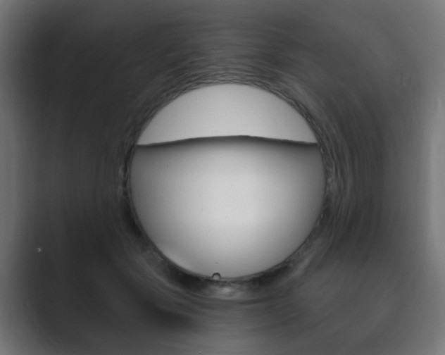 X0000089850557200706281023
