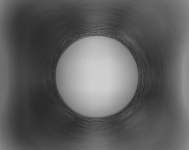 X0000089850558200706281023
