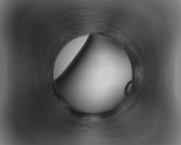 X0000089850559200706281023