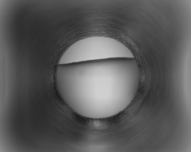 X0000089850565200706281023