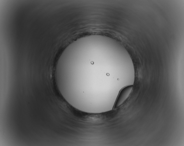 X0000089850567200706281023