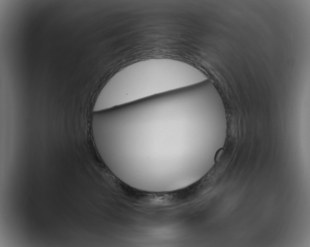 X0000089850569200706281023