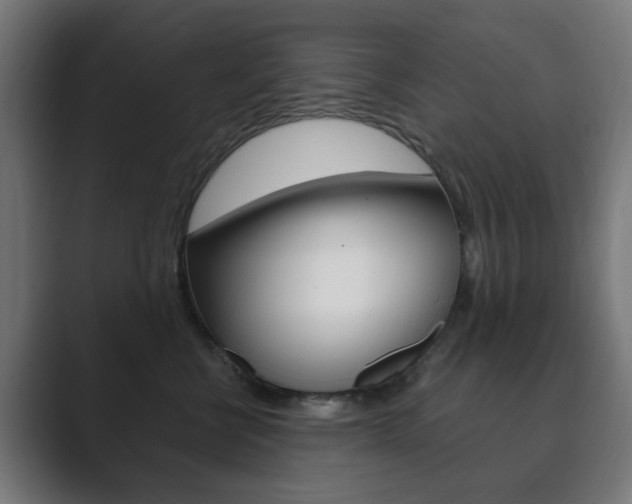 X0000089850570200706281023