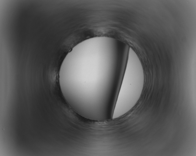 X0000089850574200706281023