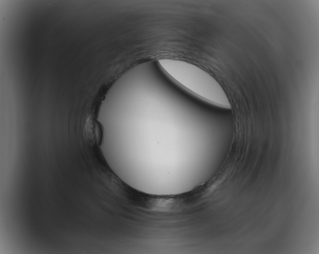 X0000089850575200706281023