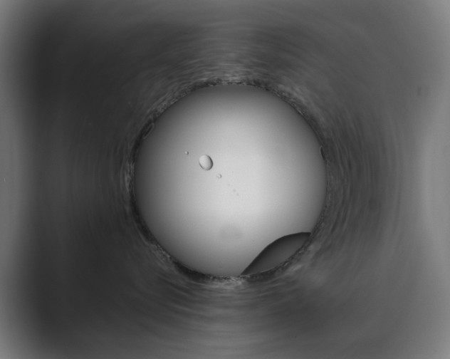 X0000089850576200706281023