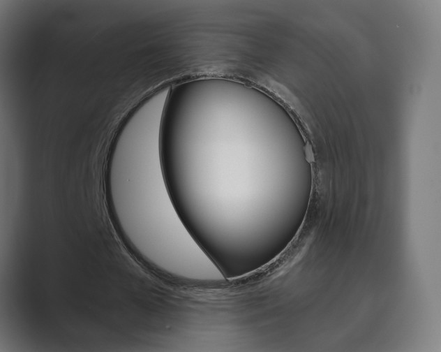 X0000089850577200706281022