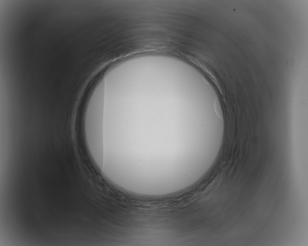 X0000089850579200706281022