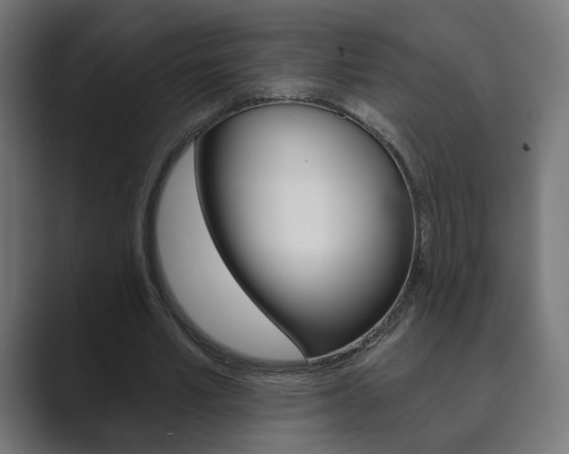 X0000089850581200706281022
