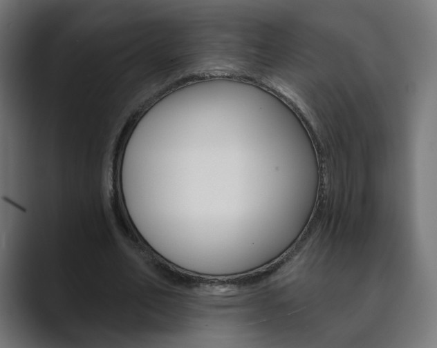 X0000089850582200706281022