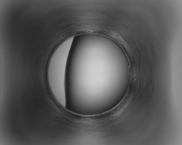 X0000089850585200706281022