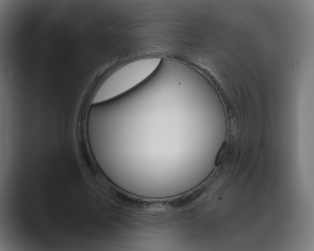 X0000089850587200706281022