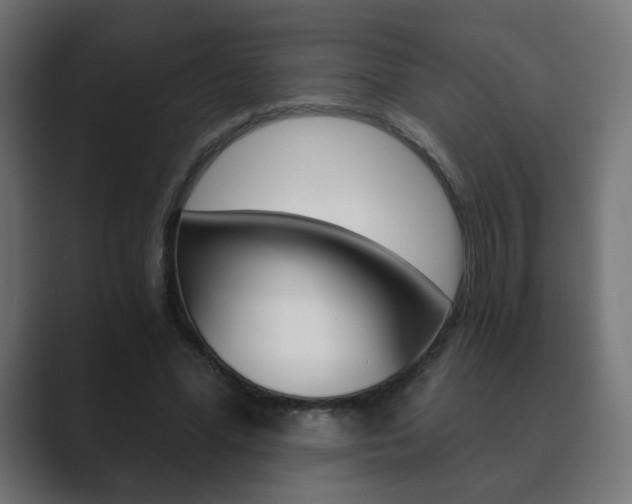 X0000089850588200706281022