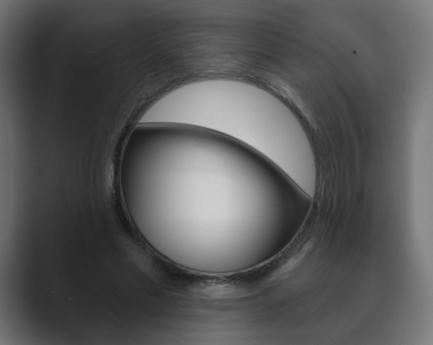 X0000089850589200706281022