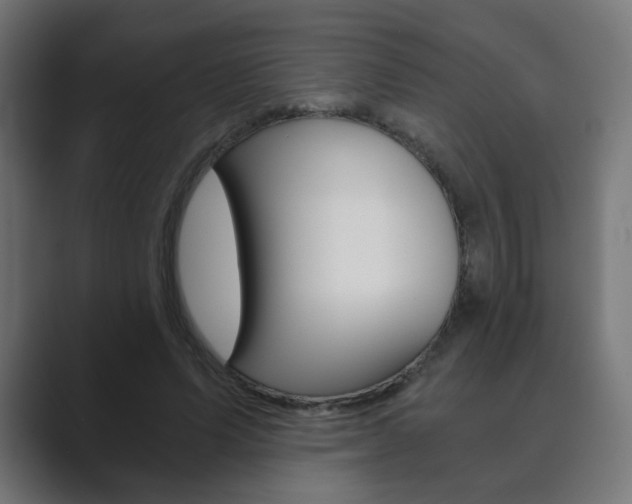 X0000089850591200706281022