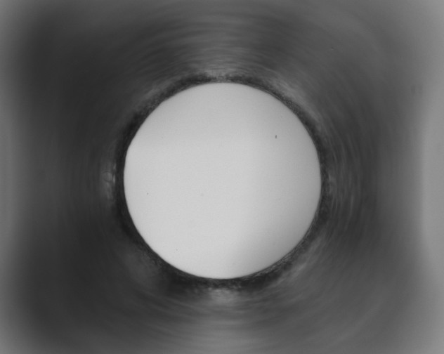 X0000089850592200706281022