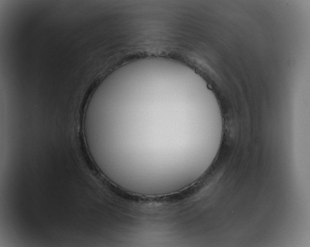 X0000089850593200706281022
