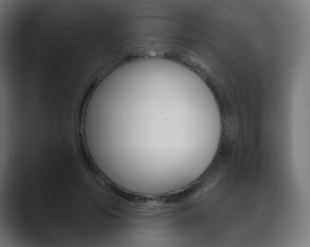 X0000089850594200706281022