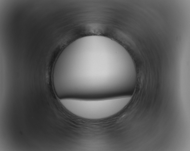 X0000089850595200706281022