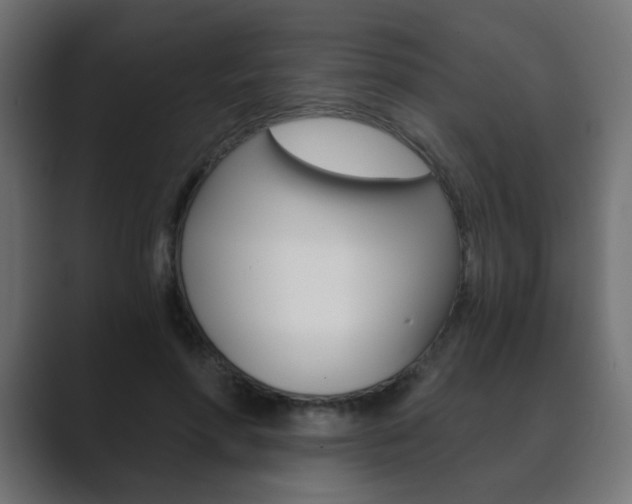 X0000089850598200706281022