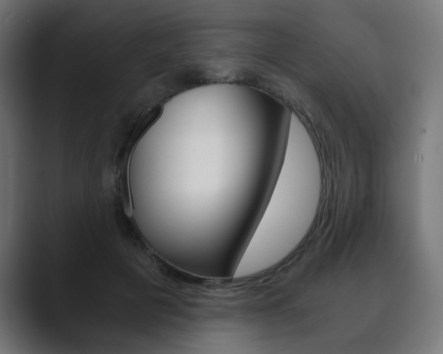 X0000089850601200706281022