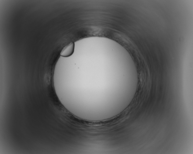 X0000089850602200706281022