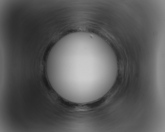 X0000089850603200706281022