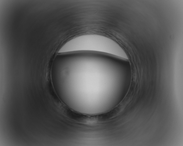 X0000089850604200706281022