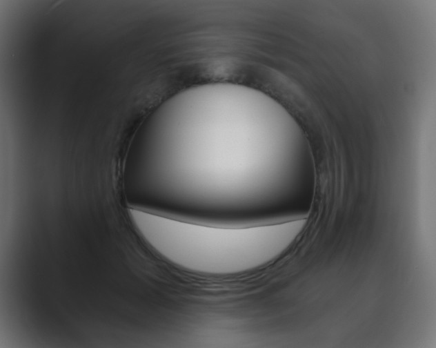 X0000089850605200706281022