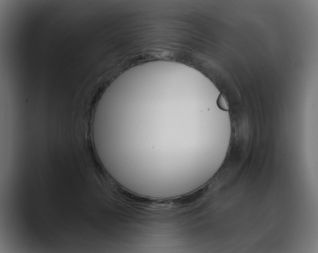 X0000089850606200706281022