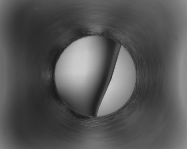 X0000089850608200706281022